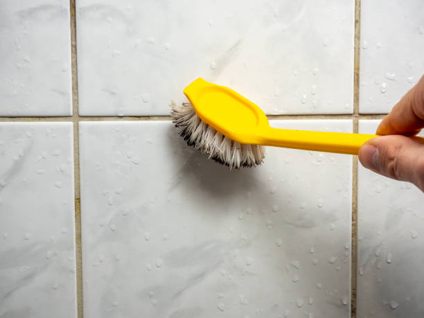 Best Emergency Mold Removal  in Niwot, CO