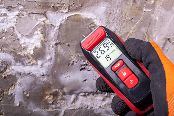 Best Mold Inspection  in Niwot, CO