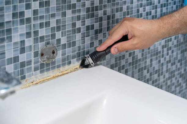 Best Toxic Mold Removal  in Niwot, CO
